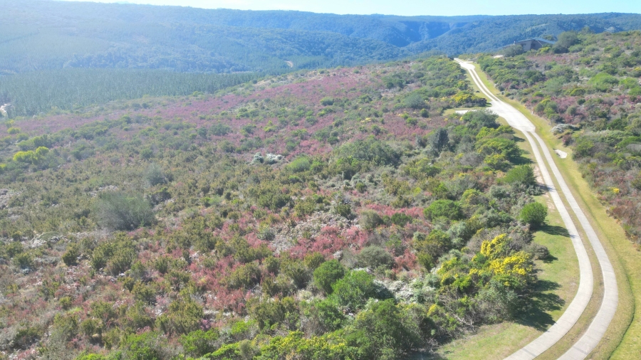 0 Bedroom Property for Sale in Pezula Private Estate Western Cape